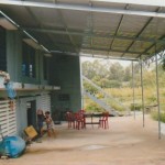 preau_petits_bambous_1