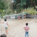 preau_petits_bambous_2_SD