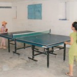 preau_petits_bambous_5_SD