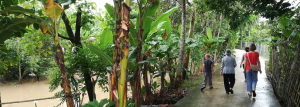 sur les chemins à Binh Quoi